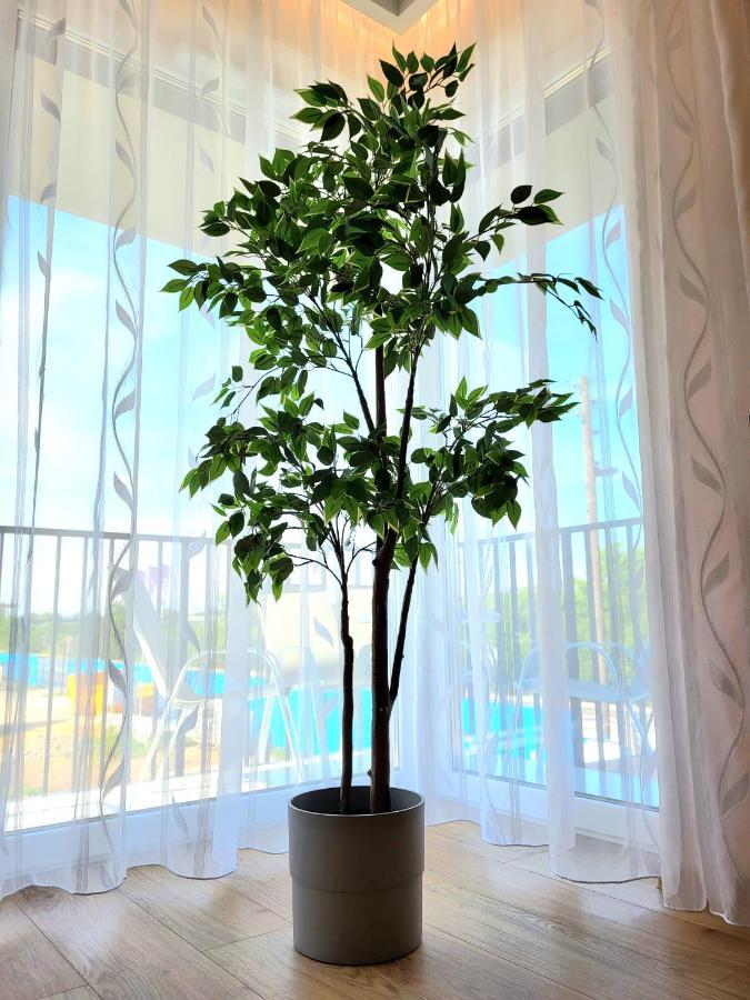 Eksclusive Apartment Paradise Down Town 6 Persons 3 Rooms クラクフ エクステリア 写真